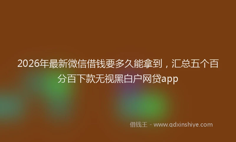 2026年最新微信借钱要多久能拿到，汇总五个百分百下款无视黑白户网贷app