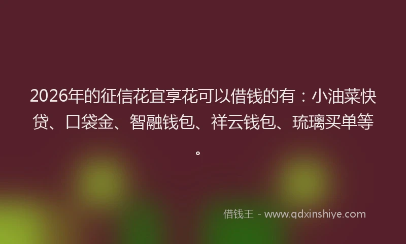 2026年的征信花宜享花可以借钱的有：小油菜快贷、口袋金、智融钱包、祥云钱包、琉璃买单等。