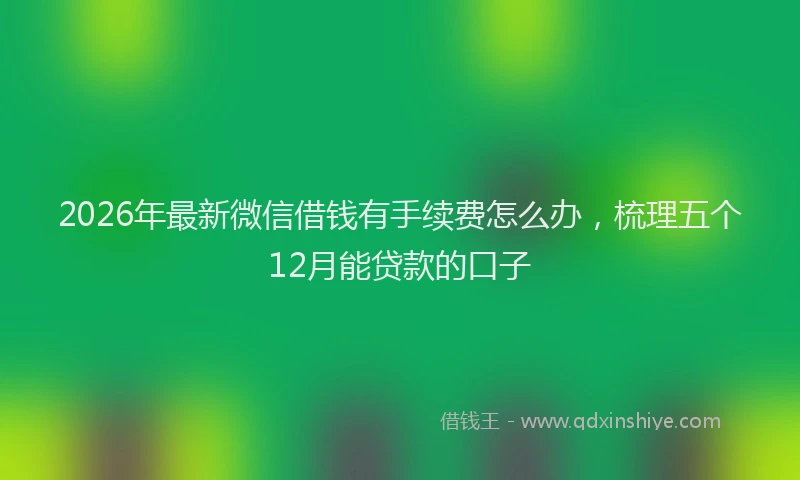 2026年最新微信借钱有手续费怎么办，梳理五个12月能贷款的口子