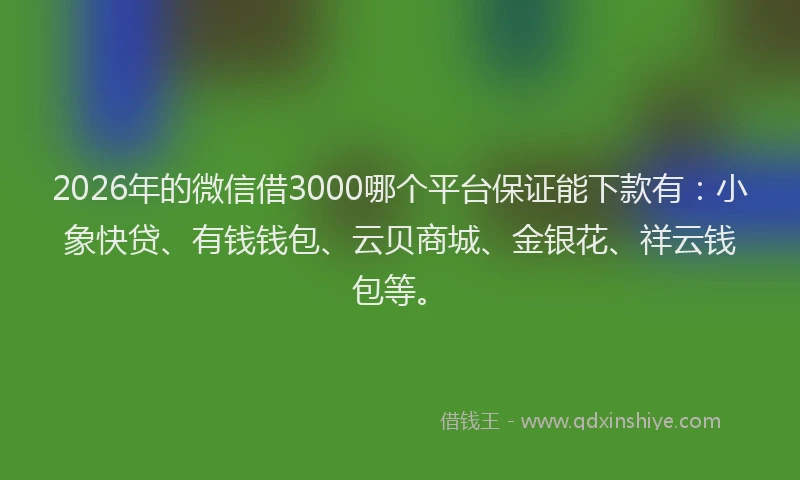 2026年的微信借3000哪个平台保证能下款有：小象快贷、有钱钱包、云贝商城、金银花、祥云钱包等。