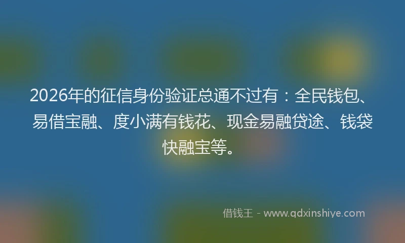 2026年的征信身份验证总通不过有：全民钱包、易借宝融、度小满有钱花、现金易融贷途、钱袋快融宝等。