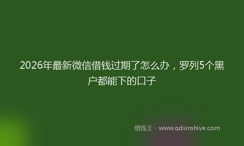 2026年最新微信借钱过期了怎么办，罗列5个黑户都能下的口子
