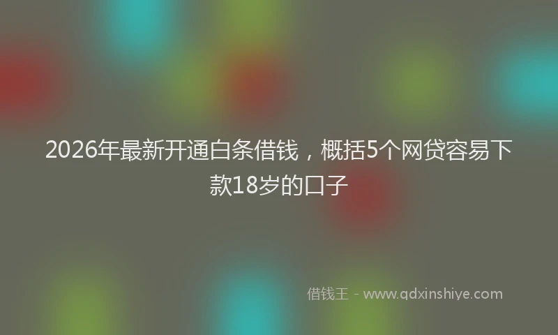 2026年最新开通白条借钱，概括5个网贷容易下款18岁的口子