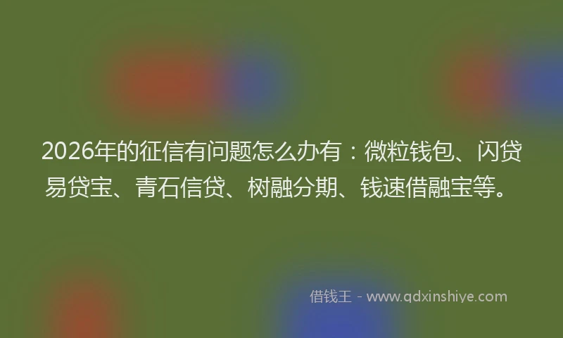 2026年的征信有问题怎么办有：微粒钱包、闪贷易贷宝、青石信贷、树融分期、钱速借融宝等。