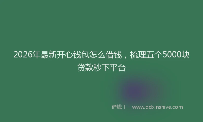 2026年最新开心钱包怎么借钱，梳理五个5000块贷款秒下平台