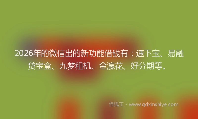 2026年的微信出的新功能借钱有：速下宝、易融贷宝盒、九梦租机、金瀛花、好分期等。