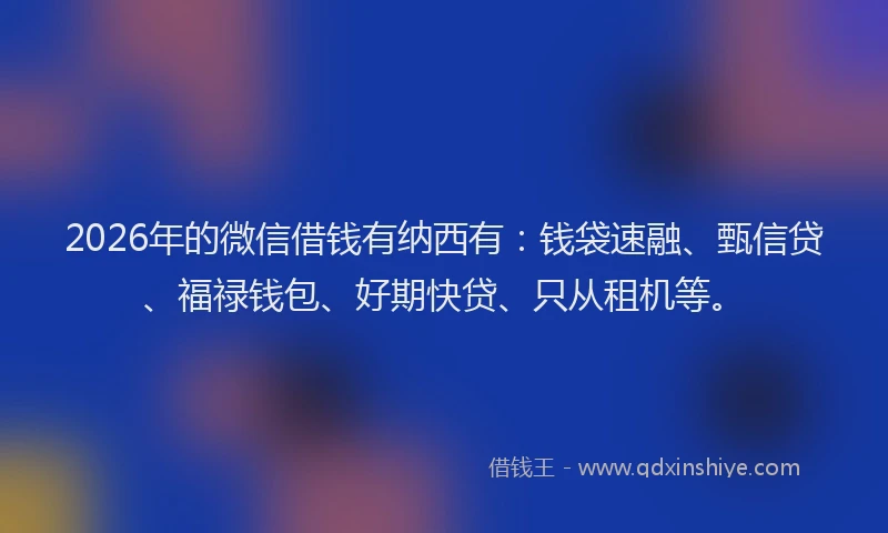 2026年的微信借钱有纳西有：钱袋速融、甄信贷、福禄钱包、好期快贷、只从租机等。