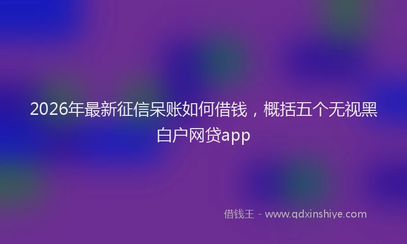 2026年最新征信呆账如何借钱，概括五个无视黑白户网贷app