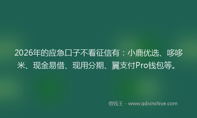 2026年的应急口子不看征信有：小鹿优选、哆哆米、现金易借、现用分期、翼支付Pro钱包等。