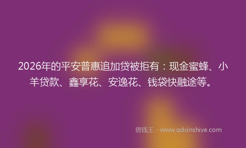 2026年的平安普惠追加贷被拒有：现金蜜蜂、小羊贷款、鑫享花、安逸花、钱袋快融途等。