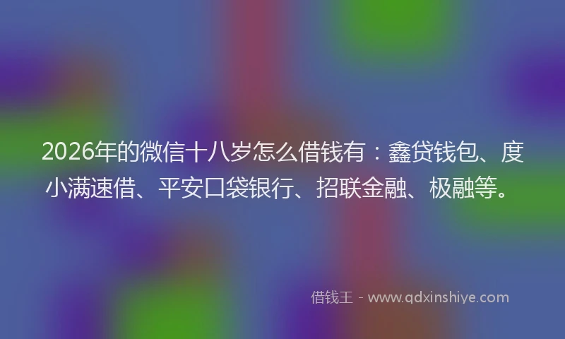 2026年的微信十八岁怎么借钱有：鑫贷钱包、度小满速借、平安口袋银行、招联金融、极融等。