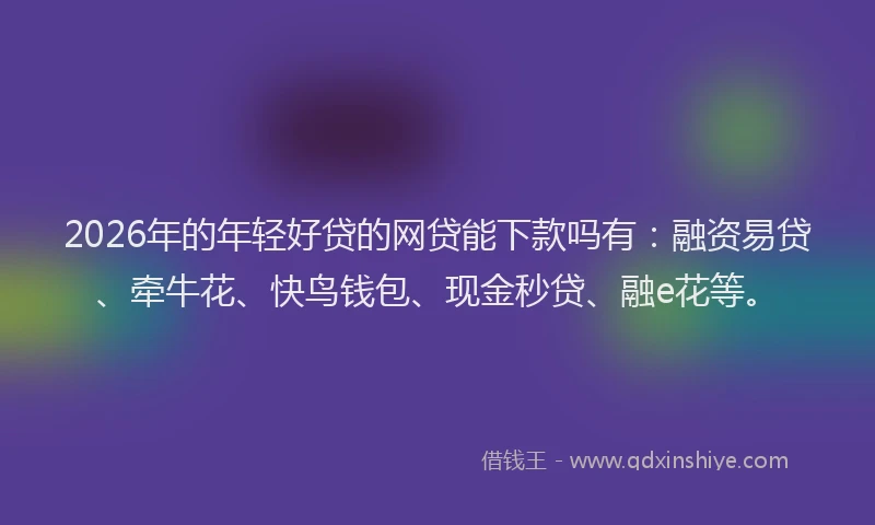 2026年的年轻好贷的网贷能下款吗有：融资易贷、牵牛花、快鸟钱包、现金秒贷、融e花等。