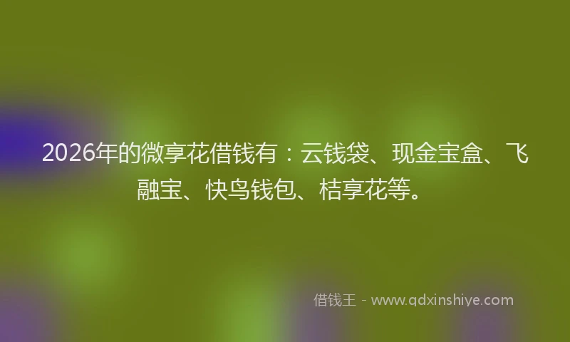 2026年的微享花借钱有：云钱袋、现金宝盒、飞融宝、快鸟钱包、桔享花等。
