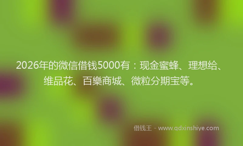 2026年的微信借钱5000有：现金蜜蜂、理想给、维品花、百樂商城、微粒分期宝等。
