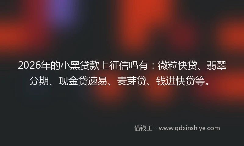 2026年的小黑贷款上征信吗有：微粒快贷、翡翠分期、现金贷速易、麦芽贷、钱进快贷等。