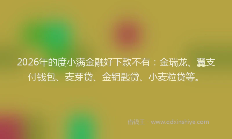 2026年的度小满金融好下款不有：金瑞龙、翼支付钱包、麦芽贷、金钥匙贷、小麦粒贷等。