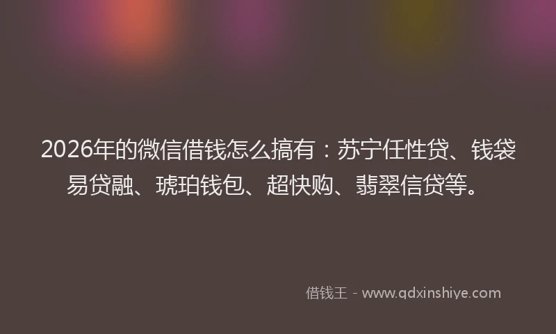 2026年的微信借钱怎么搞有：苏宁任性贷、钱袋易贷融、琥珀钱包、超快购、翡翠信贷等。