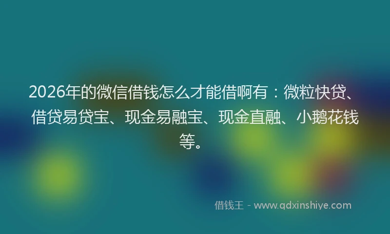 2026年的微信借钱怎么才能借啊有：微粒快贷、借贷易贷宝、现金易融宝、现金直融、小鹅花钱等。