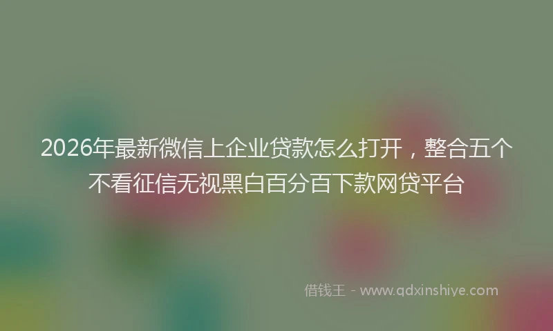 2026年最新微信上企业贷款怎么打开，整合五个不看征信无视黑白百分百下款网贷平台
