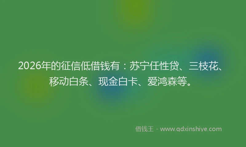 2026年的征信低借钱有：苏宁任性贷、三枝花、移动白条、现金白卡、爱鸿森等。