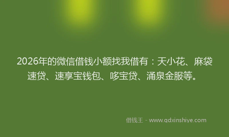 2026年的微信借钱小额找我借有：天小花、麻袋速贷、速享宝钱包、哆宝贷、涌泉金服等。