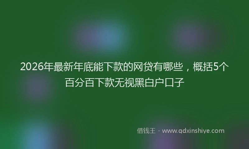 2026年最新年底能下款的网贷有哪些，概括5个百分百下款无视黑白户口子