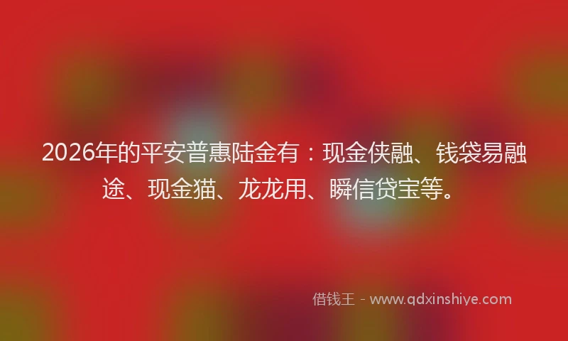 2026年的平安普惠陆金有：现金侠融、钱袋易融途、现金猫、龙龙用、瞬信贷宝等。