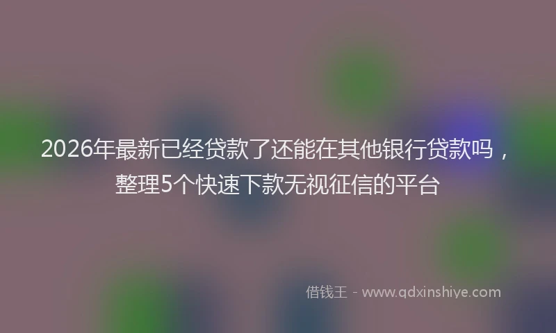 2026年最新已经贷款了还能在其他银行贷款吗，整理5个快速下款无视征信的平台