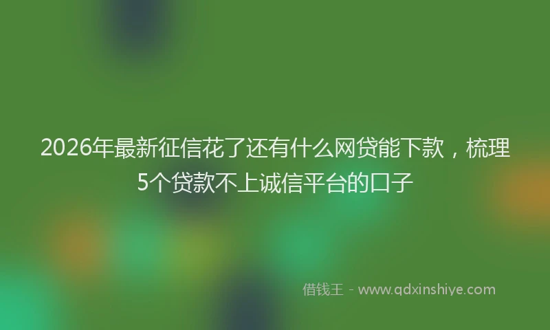 2026年最新征信花了还有什么网贷能下款，梳理5个贷款不上诚信平台的口子
