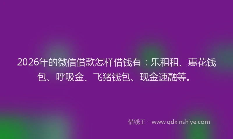 2026年的微信借款怎样借钱有：乐租租、惠花钱包、呼吸金、飞猪钱包、现金速融等。