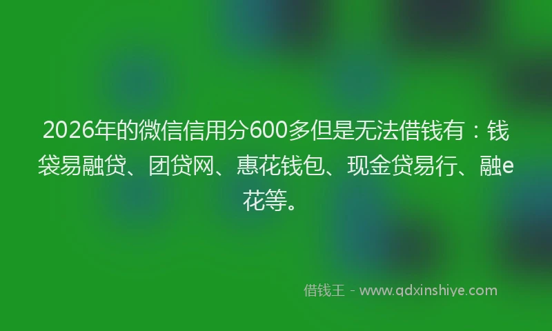 2026年的微信信用分600多但是无法借钱有：钱袋易融贷、团贷网、惠花钱包、现金贷易行、融e花等。