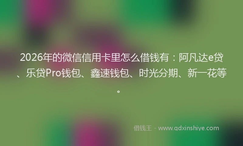 2026年的微信信用卡里怎么借钱有：阿凡达e贷、乐贷Pro钱包、鑫速钱包、时光分期、新一花等。