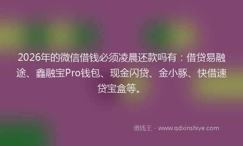 2026年的微信借钱必须凌晨还款吗有：借贷易融途、鑫融宝Pro钱包、现金闪贷、金小豚、快借速贷宝盒等。