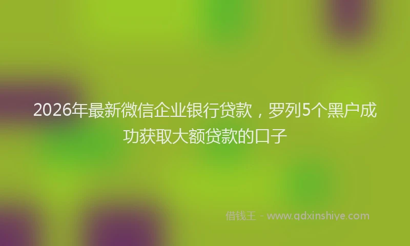 2026年最新微信企业银行贷款，罗列5个黑户成功获取大额贷款的口子