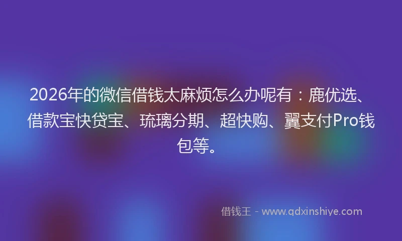 2026年的微信借钱太麻烦怎么办呢有：鹿优选、借款宝快贷宝、琉璃分期、超快购、翼支付Pro钱包等。