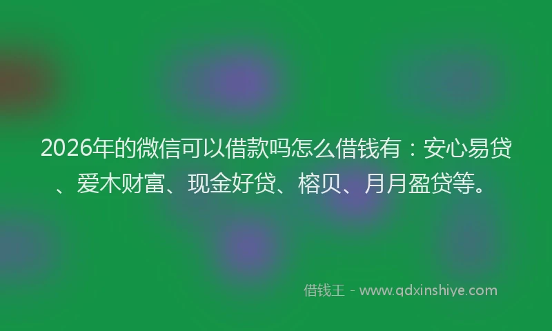 2026年的微信可以借款吗怎么借钱有：安心易贷、爱木财富、现金好贷、榕贝、月月盈贷等。