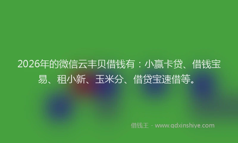 2026年的微信云丰贝借钱有：小赢卡贷、借钱宝易、租小新、玉米分、借贷宝速借等。
