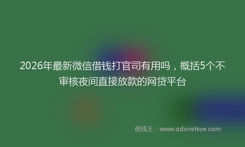 2026年最新微信借钱打官司有用吗，概括5个不审核夜间直接放款的网贷平台
