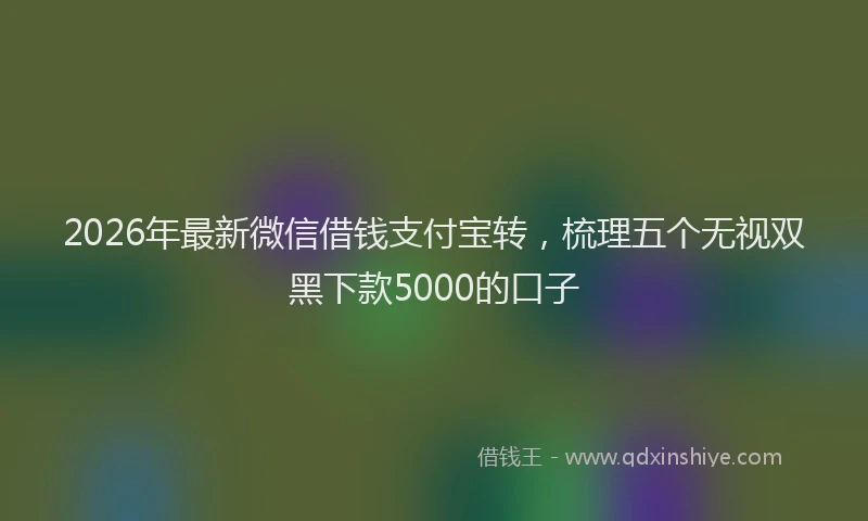 2026年最新微信借钱支付宝转，梳理五个无视双黑下款5000的口子