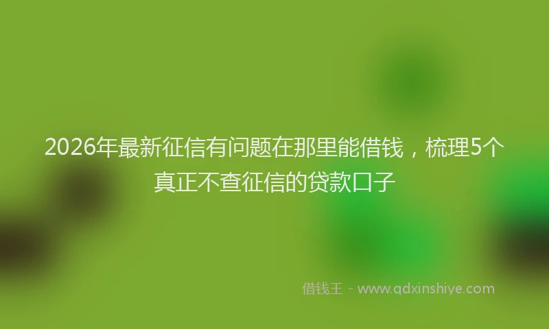 2026年最新征信有问题在那里能借钱，梳理5个真正不查征信的贷款口子