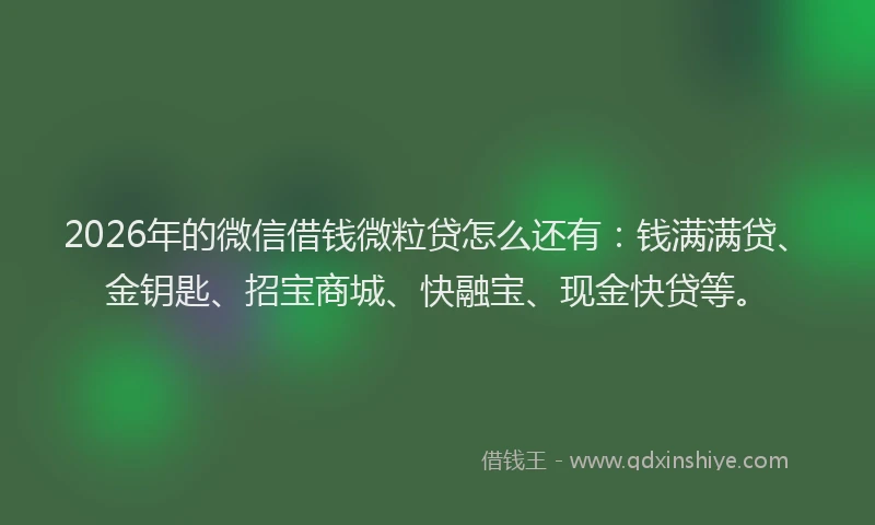 2026年的微信借钱微粒贷怎么还有：钱满满贷、金钥匙、招宝商城、快融宝、现金快贷等。