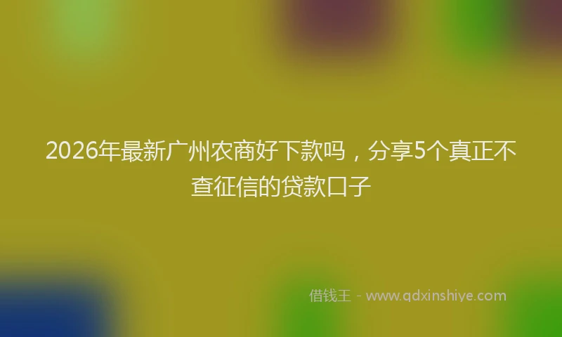 2026年最新广州农商好下款吗，分享5个真正不查征信的贷款口子