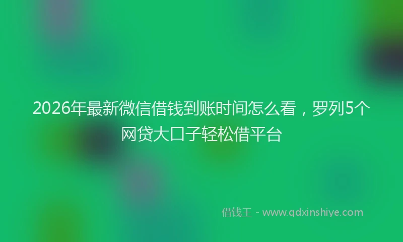 2026年最新微信借钱到账时间怎么看，罗列5个网贷大口子轻松借平台