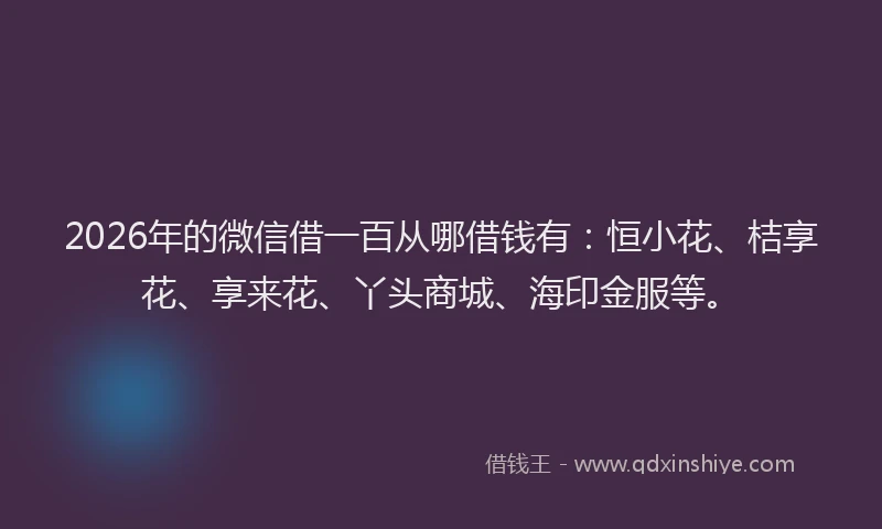 2026年的微信借一百从哪借钱有：恒小花、桔享花、享来花、丫头商城、海印金服等。