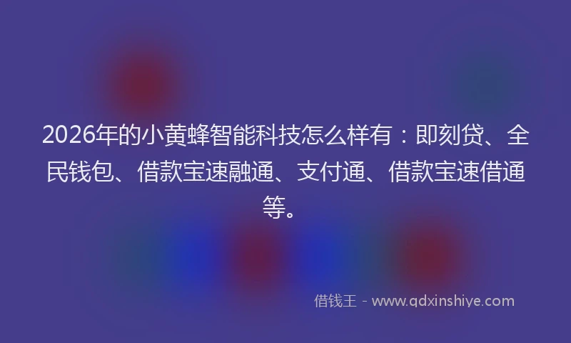 2026年的小黄蜂智能科技怎么样有：即刻贷、全民钱包、借款宝速融通、支付通、借款宝速借通等。