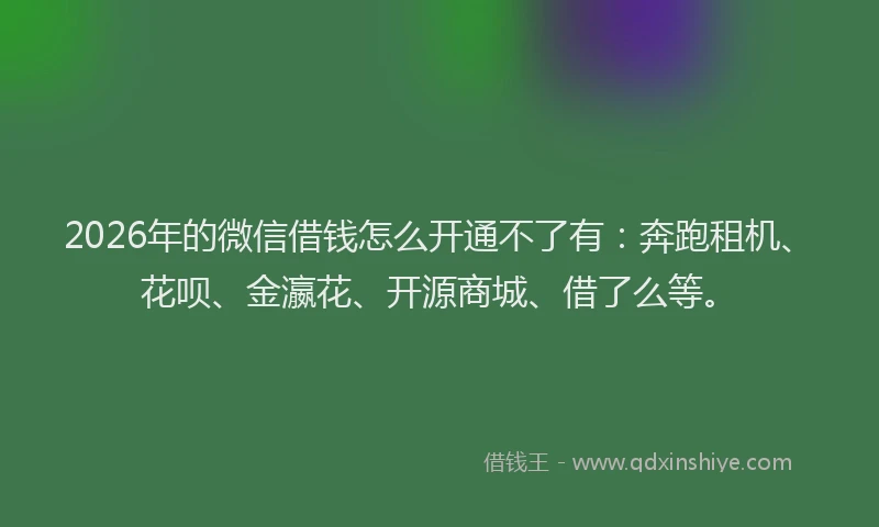 2026年的微信借钱怎么开通不了有：奔跑租机、花呗、金瀛花、开源商城、借了么等。