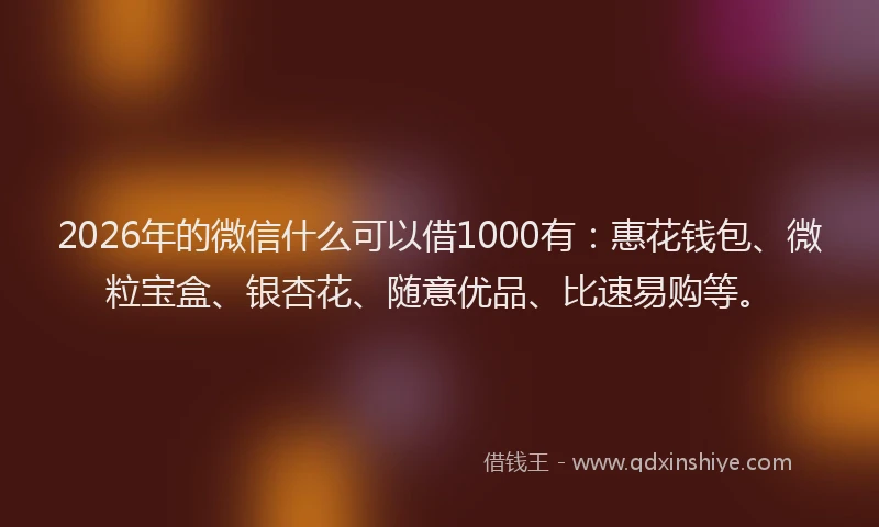 2026年的微信什么可以借1000有：惠花钱包、微粒宝盒、银杏花、随意优品、比速易购等。