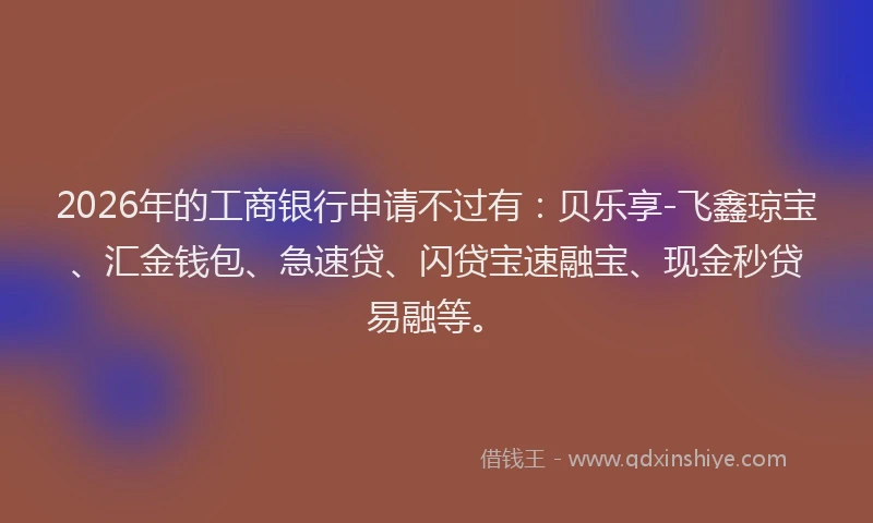 2026年的工商银行申请不过有：贝乐享-飞鑫琼宝、汇金钱包、急速贷、闪贷宝速融宝、现金秒贷易融等。