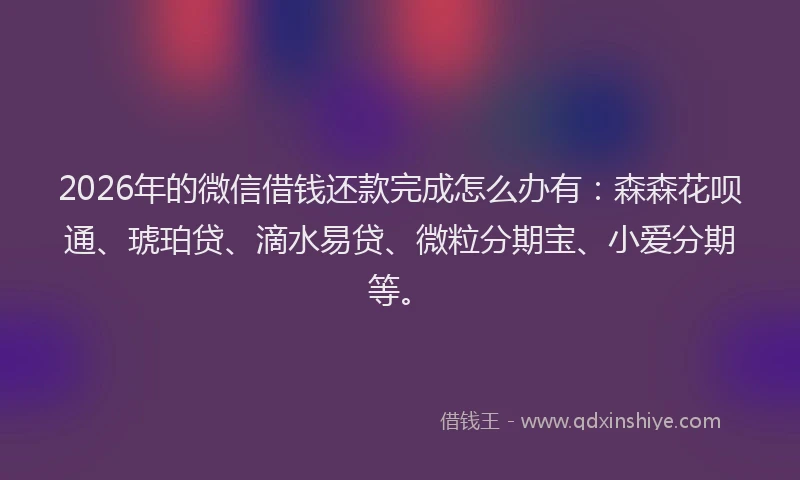 2026年的微信借钱还款完成怎么办有：森森花呗通、琥珀贷、滴水易贷、微粒分期宝、小爱分期等。