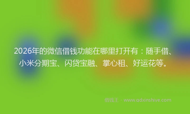 2026年的微信借钱功能在哪里打开有：随手借、小米分期宝、闪贷宝融、掌心租、好运花等。